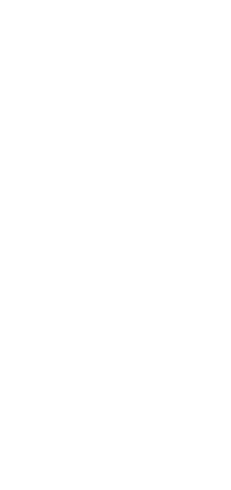 Slider Shape