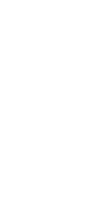 Slider Shape